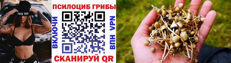 даркнет телеграм  даркнет сайт  Октябрьский  Псилоцибиновые грибы MAGIC MUSHROOMS 
